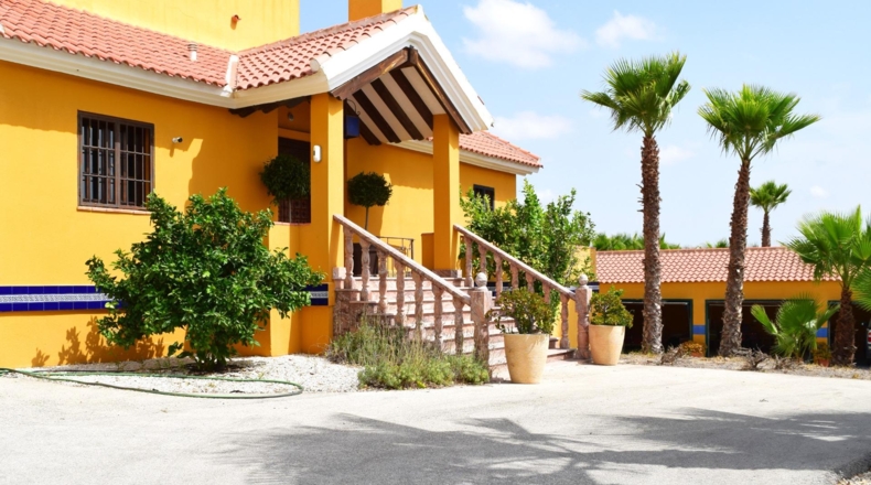 Alicante - San Miguel de Salinas - 11000m2