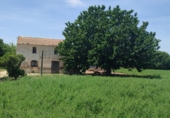 Casa de camp amb terreny en venda a la España, Guardamar del Segura, ref.: TR80970 foto