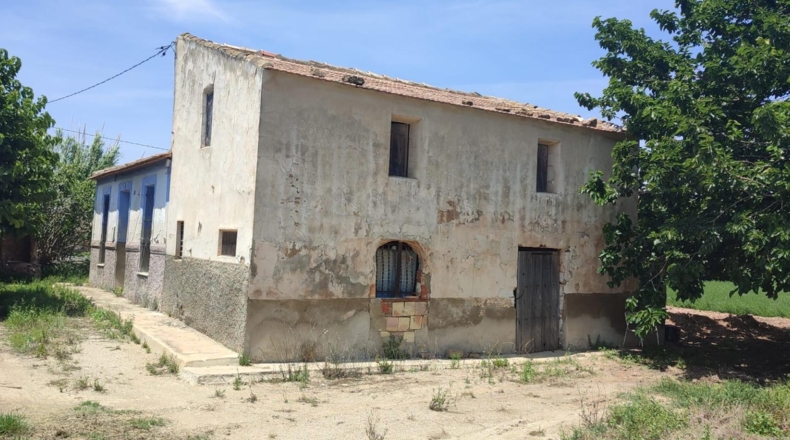 Alicante - Guardamar del Segura - 11500m2