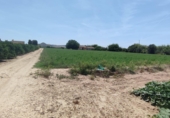 Casa de camp amb terreny en venda a la España, Guardamar del Segura, ref.: TR80970 foto