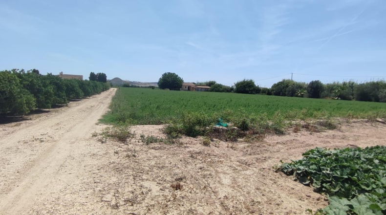 Alicante - Guardamar del Segura - 11500m2