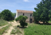 Casa de camp amb terreny en venda a la España, Guardamar del Segura, ref.: TR80970 foto