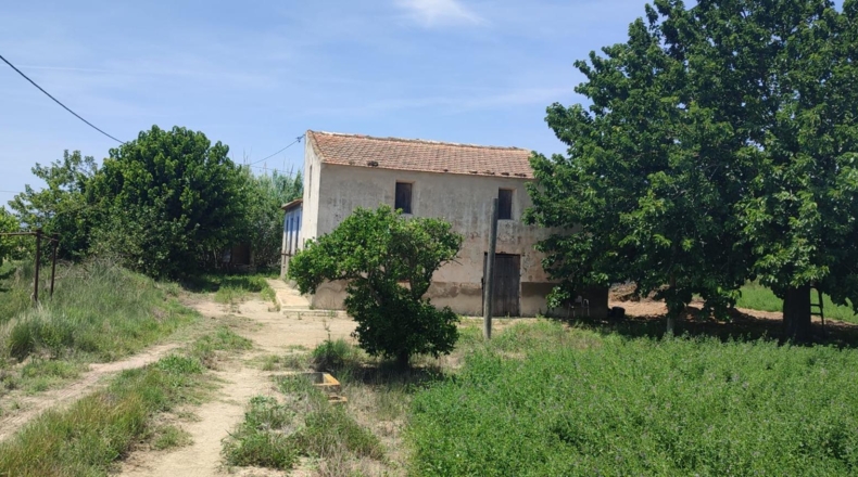 Alicante - Guardamar del Segura - 11500m2