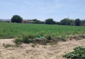 Casa de camp amb terreny en venda a la España, Guardamar del Segura, ref.: TR80970 foto