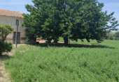 Casa de camp amb terreny en venda a la España, Guardamar del Segura, ref.: TR80970 foto