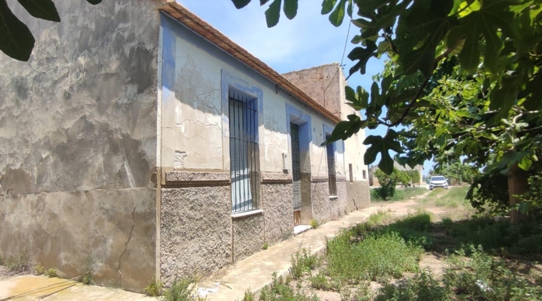 Alicante - Guardamar del Segura - 11500m2