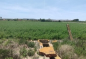 Casa de camp amb terreny en venda a la España, Guardamar del Segura, ref.: TR80970 foto