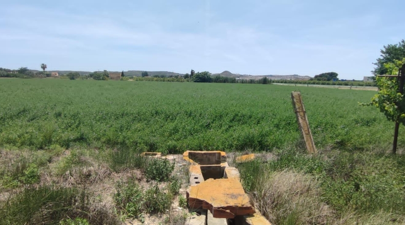 Alicante - Guardamar del Segura - 11500m2