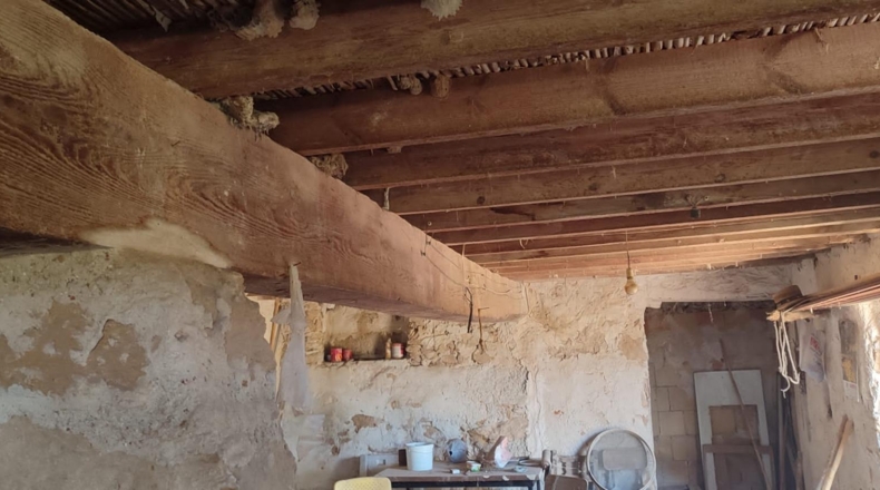 Alicante - Guardamar del Segura - 11500m2