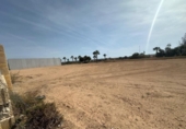 House with land for rent on España, Torrevieja, ref: TR313273 photo
