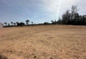 House with land for rent on España, Torrevieja, ref: TR313273 photo
