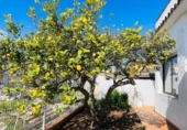 Village house for rent on España, Oliva, ref: TR405051 photo