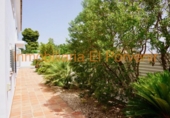 Detached villa with land for rent on España, Torrent, ref: TR314696 photo