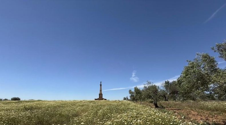 Huelva - Bollullos Par del Condado - 5807m2