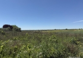 Terreno no urbanizable en venta en la España, Bollullos Par del Condado, ref: TR401924 foto