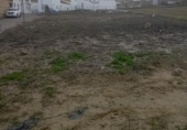 Suelo urbano en venta en la España, Escacena del Campo, ref: TR379368 foto