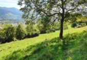 Non-developable land for sale on España, Corvera, ref: TR403773 photo