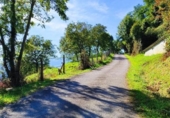 Non-developable land for sale on España, Corvera, ref: TR403773 photo