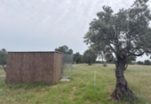 Non-developable land for sale on España, Niebla, ref: TR403778 photo