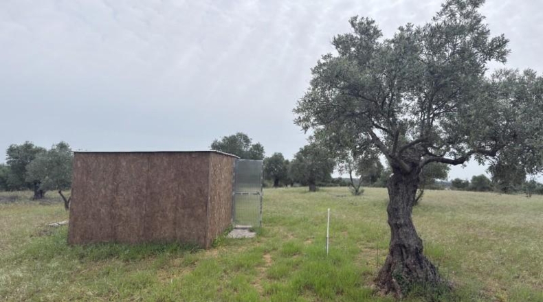 Huelva - Niebla - 16000m2