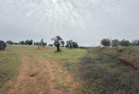 Niebla 16000&nbsp;m²