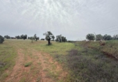 Non-developable land for sale on España, Niebla, ref: TR403778 photo
