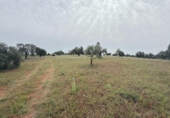 Non-developable land for sale on España, Niebla, ref: TR403778 photo