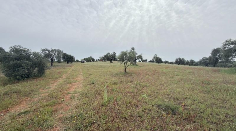 Huelva - Niebla - 16000m2