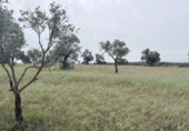 Non-developable land for sale on España, Niebla, ref: TR403778 photo