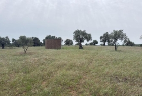 Niebla 16000&nbsp;m²