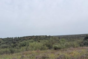 Niebla 16000&nbsp;m²