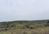 Non-developable land for sale on España, Niebla, ref: TR403778 photo