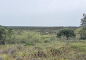 Non-developable land for sale on España, Niebla, ref: TR403778 photo