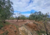 Terreno no urbanizable en venta en la España, Abrucena, ref: TR396100 foto