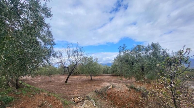 Almería - Абруцена - 4300m2