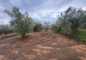 Terreno no urbanizable en venta en la España, Abrucena, ref: TR396100 foto