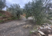 Terreno no urbanizable en venta en la España, Abrucena, ref: TR396100 foto
