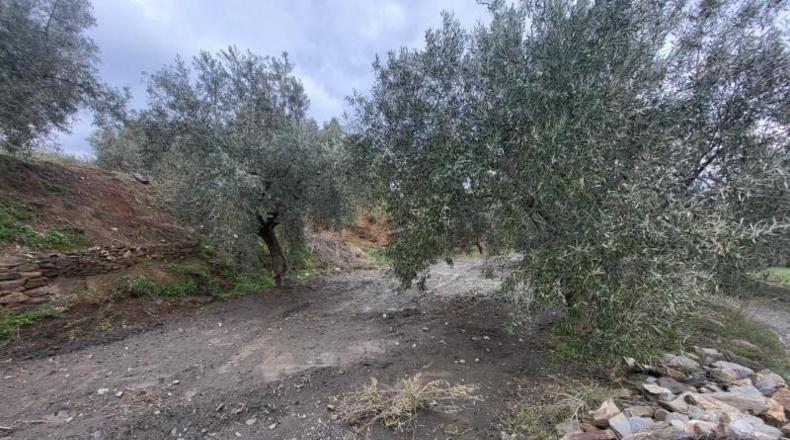 Almería - Абруцена - 4300m2