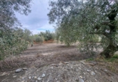 Terreno no urbanizable en venta en la España, Abrucena, ref: TR396100 foto