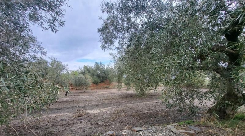 Almería - Абруцена - 4300m2