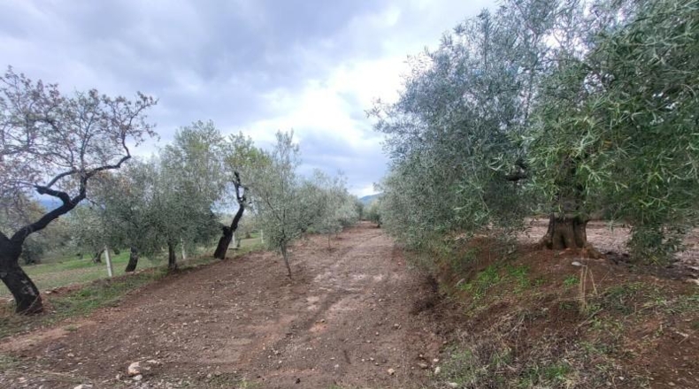 Almería - Абруцена - 4300m2