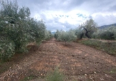 Terreno no urbanizable en venta en la España, Abrucena, ref: TR396100 foto