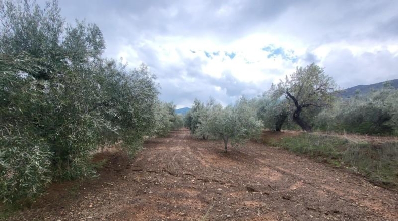 Almería - Абруцена - 4300m2