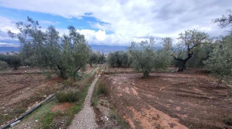 Almería - Абруцена - 4300m2