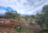 Terreno no urbanizable en venta en la España, Abrucena, ref: TR396100 foto