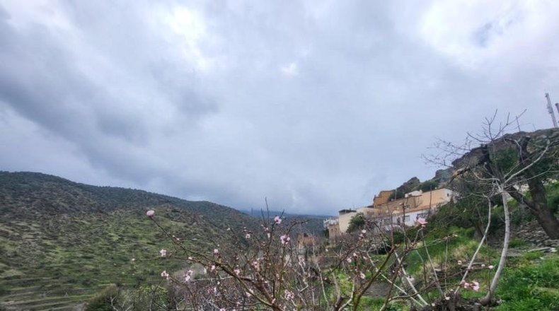Almería - Абруцена - 4300m2