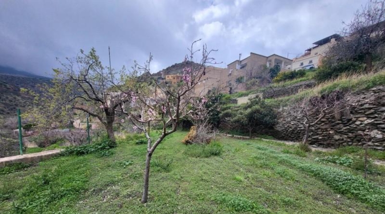 Almería - Абруцена - 4300m2