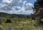 Detached villa with land for sale on España, Alcañiz, ref: TR403781 photo