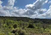 Detached villa with land for sale on España, Alcañiz, ref: TR403781 photo