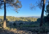 Detached villa with land for sale on España, Alcañiz, ref: TR403781 photo